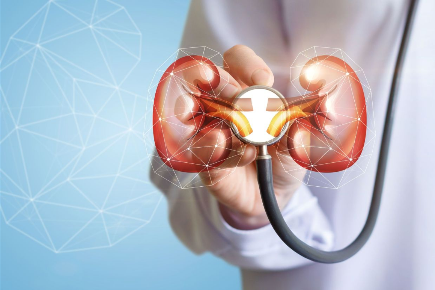 Web-based Covidialysis tracker to the rescue of kidney patients in Mumbai